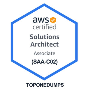dumps for aws cloud practitioner exam